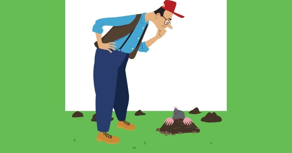 3 Strategies to Get Rid of Garden Moles